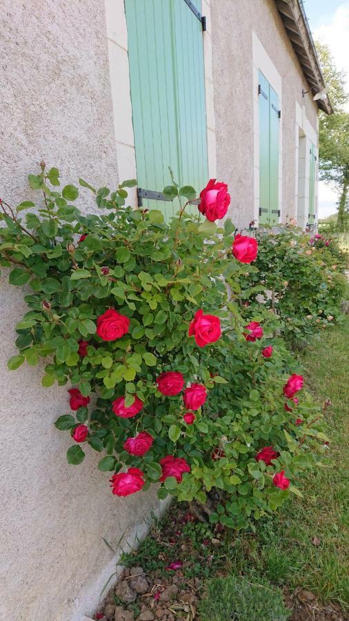 Longere Du Sud Touraine Au Coeur Du Val De Loire Villa Saint-Jean-Saint-Germain Ngoại thất bức ảnh