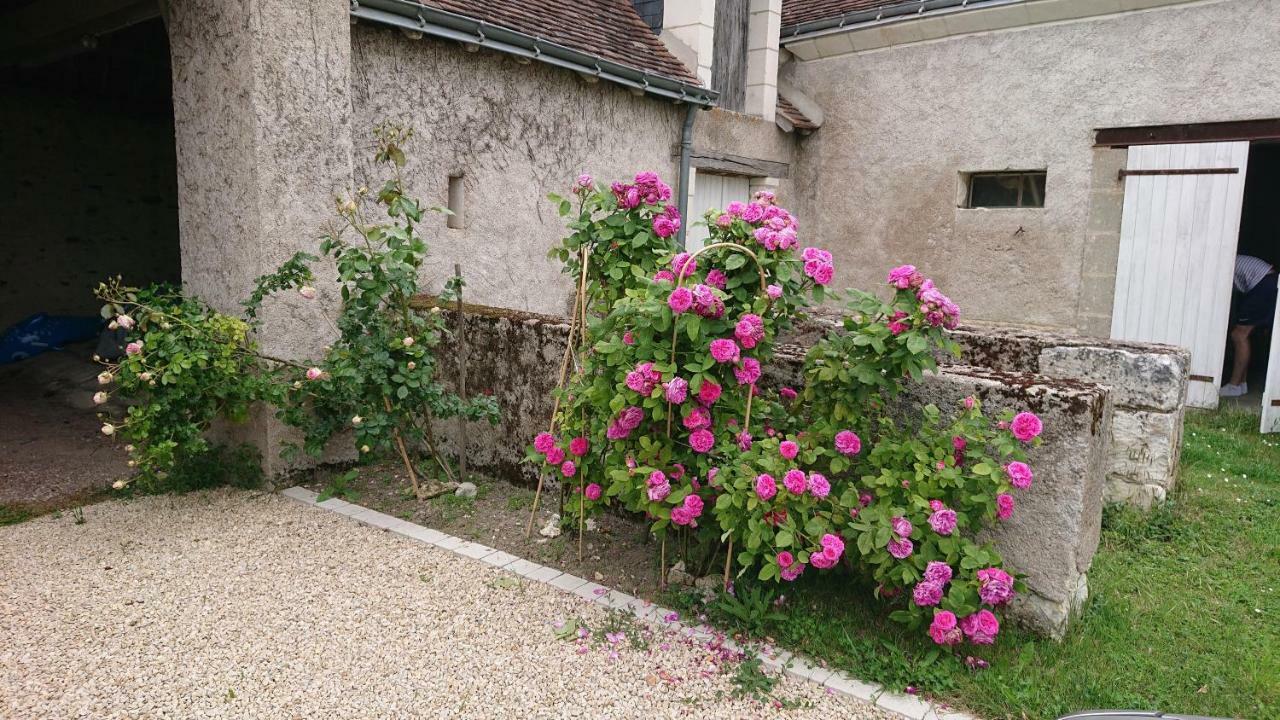 Longere Du Sud Touraine Au Coeur Du Val De Loire Villa Saint-Jean-Saint-Germain Ngoại thất bức ảnh