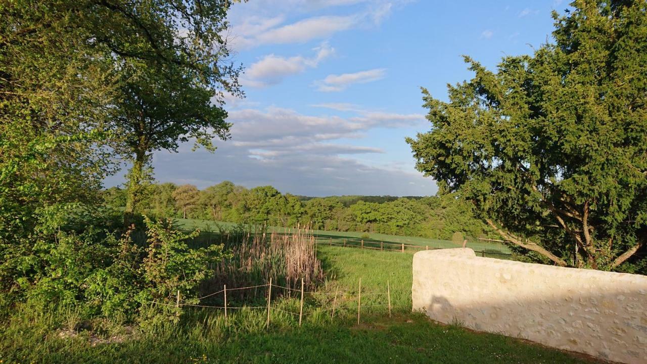 Longere Du Sud Touraine Au Coeur Du Val De Loire Villa Saint-Jean-Saint-Germain Ngoại thất bức ảnh